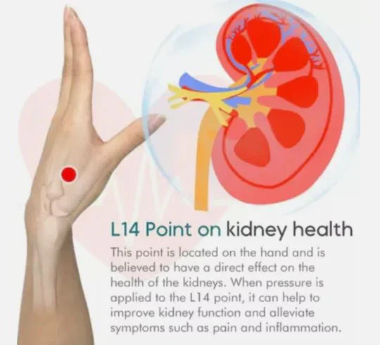 𝗦𝘂𝗴𝗮𝗿 𝗖𝗼𝗻𝘁𝗿𝗼𝗹 𝗟𝗜𝟰 𝗔𝗰𝘂𝗽𝗿𝗲𝘀𝘀𝘂𝗿𝗲 𝗣𝗼𝗶𝗻𝘁 𝗖𝗹𝗶𝗽 (Thumb Shape Magnetic Original)